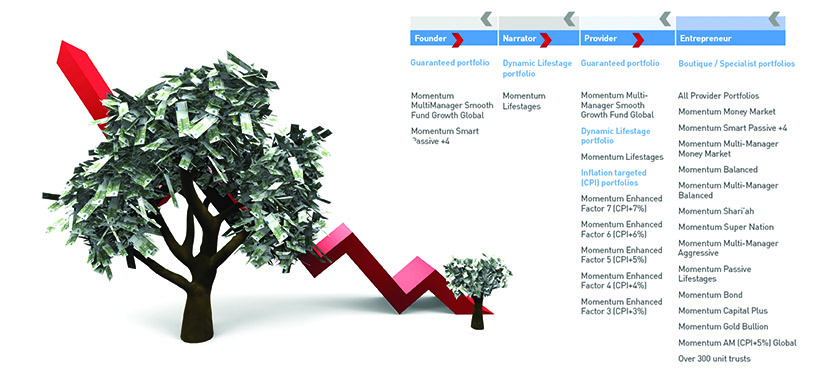 Investment Portfolios